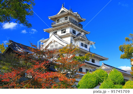 【愛媛県】快晴の今治城と紅葉 95745709