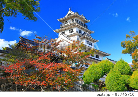 【愛媛県】快晴の今治城と紅葉 【愛媛県】快晴の今治城と紅葉 95745710