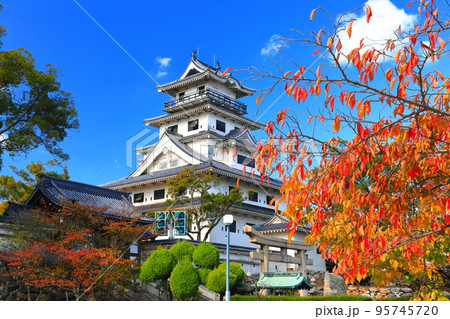 【愛媛県】快晴の今治城と紅葉 【愛媛県】快晴の今治城と紅葉 95745720