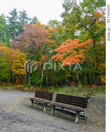 秋の軽井沢 白糸ハイランドウェイ沿いの紅葉 秋の軽井沢 白糸ハイランドウェイ沿いの紅葉 95746000