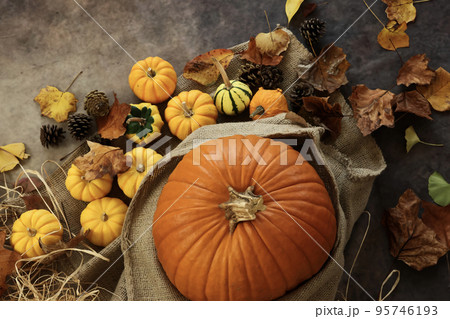 秋の背景 感謝祭やハロウィンの背景 オレンジや黄色のカボチャと落ち葉や松ぼっくりの飾り付け 秋の背景 感謝祭やハロウィンの背景 オレンジや黄色のカボチャと落ち葉や松ぼっくりの飾り付け 95746193