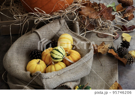 秋の背景　感謝祭やハロウィンの背景　オレンジや黄色のカボチャと落ち葉や松ぼっくりの飾り付け 95746206