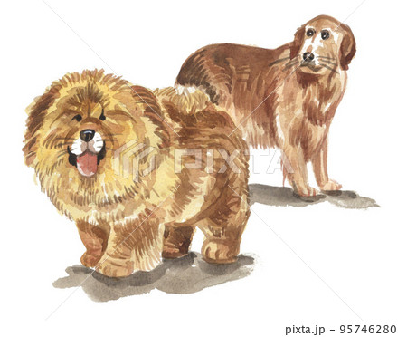 dogs221030pix7 95746280