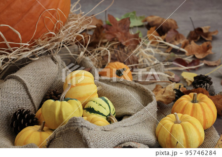 秋の背景 感謝祭やハロウィンの背景 オレンジや黄色のカボチャと落ち葉や松ぼっくりの飾り付け 秋の背景 感謝祭やハロウィンの背景 オレンジや黄色のカボチャと落ち葉や松ぼっくりの飾り付け 95746284