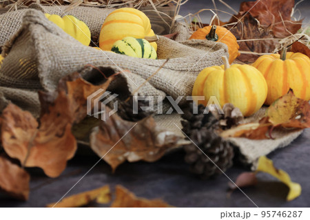 秋の背景　感謝祭やハロウィンの背景　オレンジや黄色のカボチャと落ち葉や松ぼっくりの飾り付け 95746287