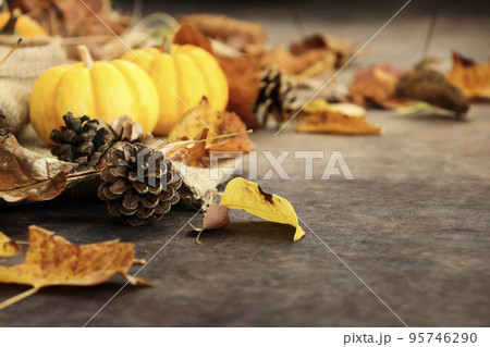秋の背景 感謝祭やハロウィンの背景 オレンジや黄色のカボチャと落ち葉や松ぼっくりの飾り付け 秋の背景 感謝祭やハロウィンの背景 オレンジや黄色のカボチャと落ち葉や松ぼっくりの飾り付け 95746290