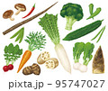 野菜のイラストセット2 95747027