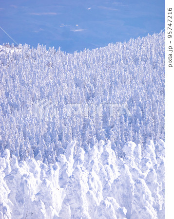 樹氷原を見渡す (山形県、蔵王山) 95747216