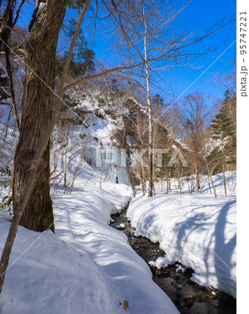 雪に覆われた沢の向こうに氷瀑を望む (北海道、白老町、カジカ沢) 雪に覆われた沢の向こうに氷瀑を望む (北海道、白老町、カジカ沢) 95747221