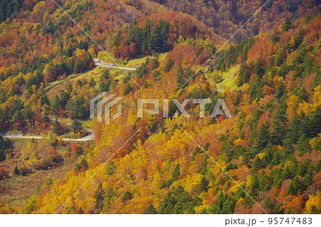 長野県高山村にある湯つづき紅葉街道から見る紅葉 95747483