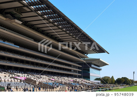 東京競馬場ダートコース 東京競馬場ダートコース 95748039