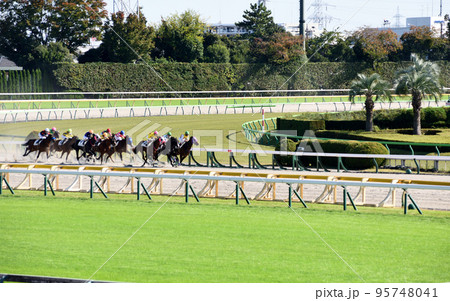 東京競馬場ダートコース 95748041