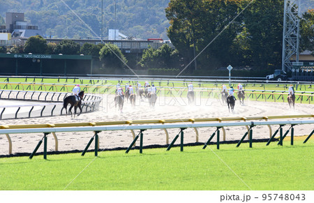 東京競馬場ダートコース 95748043