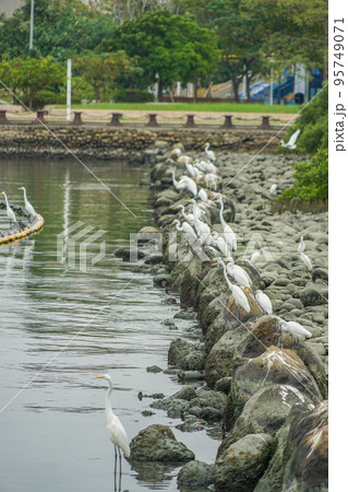 安平港濱歷史公園 安平港濱歷史公園 95749071