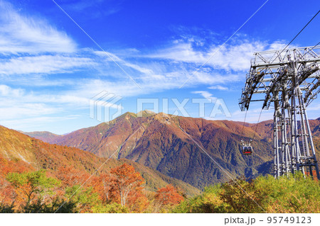 紅葉見頃の谷川岳ロープウェイ 紅葉見頃の谷川岳ロープウェイ 95749123