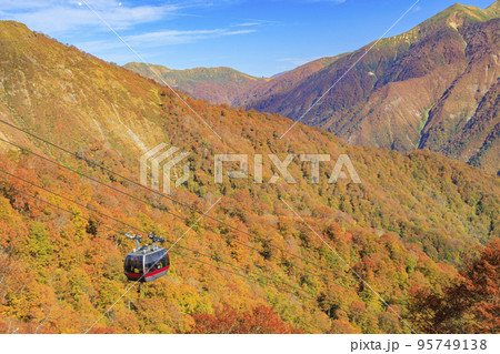 紅葉見頃の谷川岳ロープウェイ 紅葉見頃の谷川岳ロープウェイ 95749138