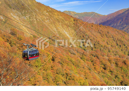 紅葉見頃の谷川岳ロープウェイ 95749140