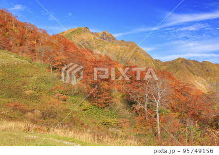 紅葉見頃の谷川岳ロープウェイ 紅葉見頃の谷川岳ロープウェイ 95749156