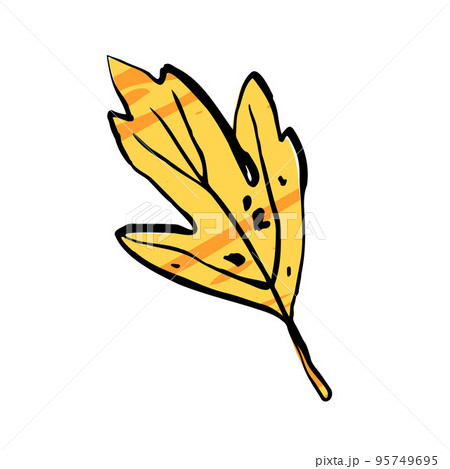 Autumn sketch yellow leaf. Hand-drawn textured herb Autumn sketch yellow leaf. Hand-drawn textured herb 95749695