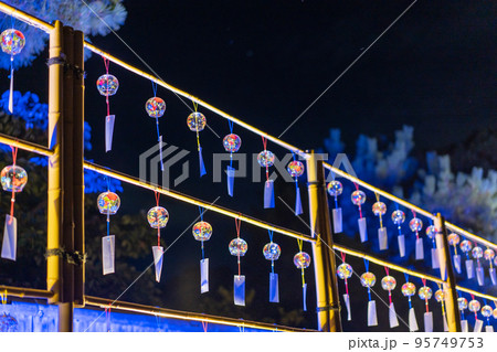 京都府　京の七夕　真夏の夜の二条城の展示 95749753