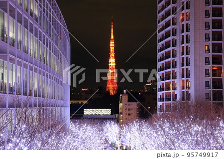 六本木ヒルズからの東京タワー 六本木ヒルズからの東京タワー 95749917