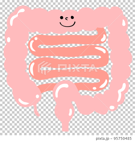 調整腸道環境的插圖（光澤面） 95750485