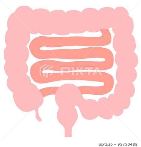 腸内環境を整える　イラスト 95750488