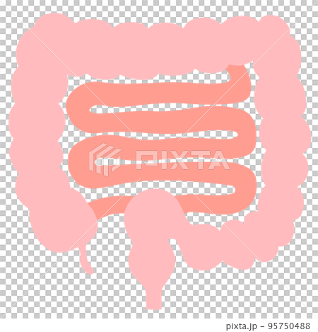 腸内環境を整える　イラスト 95750488