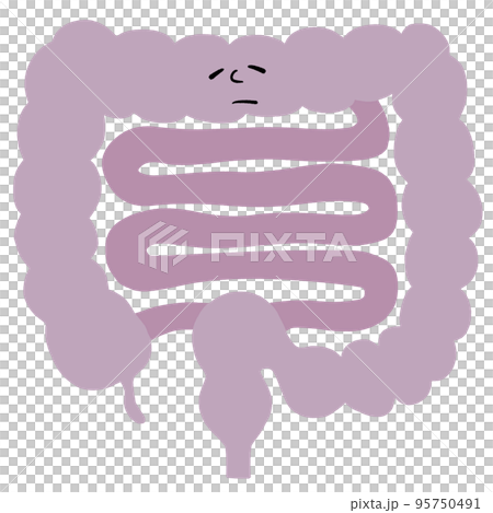 腸内環境が乱れる（顔）イラスト 95750491