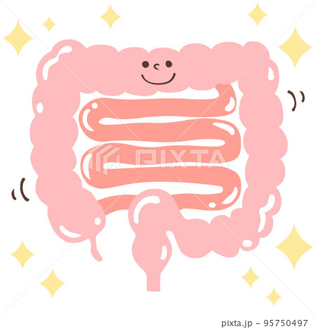 腸内環境を整える(キラキラ・つやつや・顔)イラスト 腸内環境を整える(キラキラ・つやつや・顔)イラスト 95750497