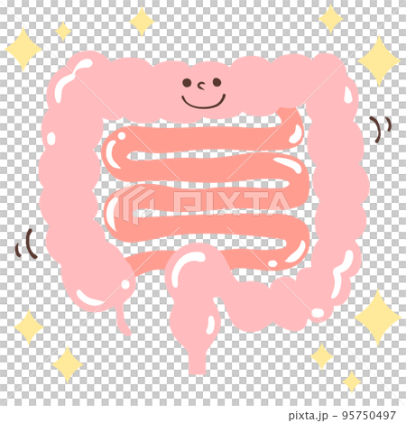 腸内環境を整える(キラキラ・つやつや・顔)イラスト 腸内環境を整える(キラキラ・つやつや・顔)イラスト 95750497