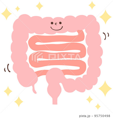 腸内環境を整える（キラキラ・顔）イラスト 95750498
