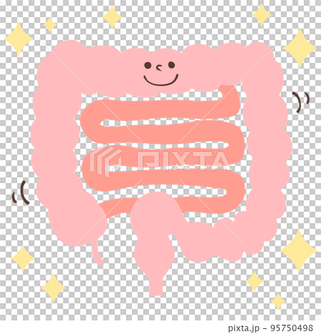 腸内環境を整える（キラキラ・顔）イラスト 95750498