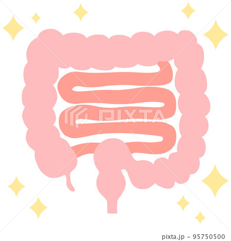 腸内環境を整える(キラキラ)イラスト 腸内環境を整える(キラキラ)イラスト 95750500