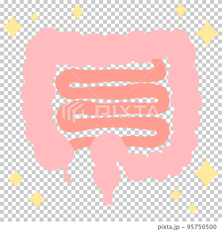 腸内環境を整える(キラキラ)イラスト 腸内環境を整える(キラキラ)イラスト 95750500