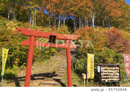 八海山ロープウェイ 紅葉 八海山ロープウェイ 紅葉 95750948