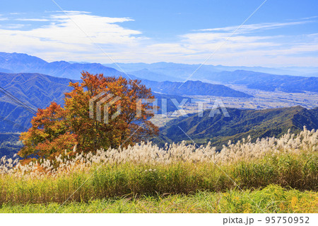 八海山ロープウェイ 紅葉 八海山ロープウェイ 紅葉 95750952