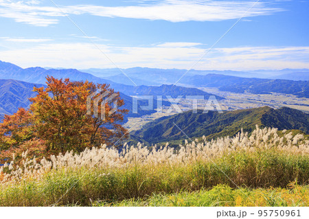 八海山ロープウェイ　紅葉 95750961