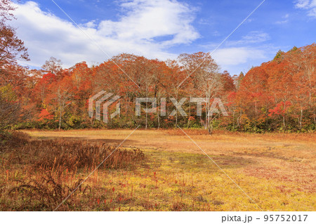 紅葉見頃な天生県立自然公園と天生湿原 95752017