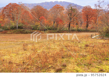 紅葉見頃な天生県立自然公園と天生湿原 紅葉見頃な天生県立自然公園と天生湿原 95752024