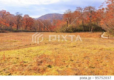 紅葉見頃な天生県立自然公園と天生湿原 95752037