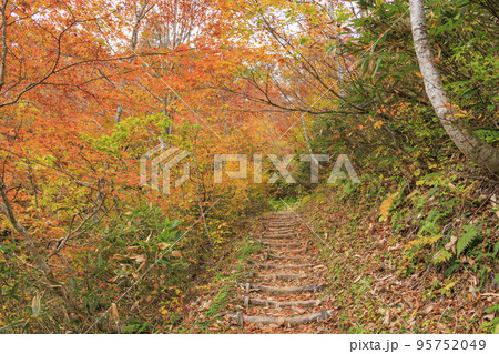 紅葉見頃な天生県立自然公園と天生湿原 紅葉見頃な天生県立自然公園と天生湿原 95752049