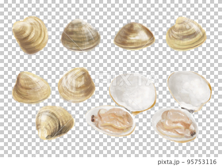 Hand-painted shellfish 01_1 95753116