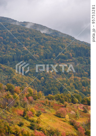 autumnal nature background in mountains. forested hills in colorful foliage. wonderful countryside scenery in dappled light 95753281