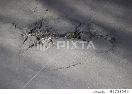 Grass growing through the asphalt. A crack in the road close up 95753549