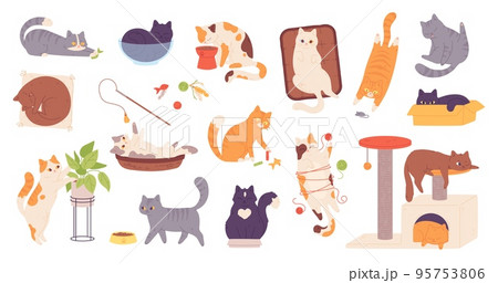 Playful cat poses. Purebred kittens play toy, purrs fluffy kitty grey ginger stripes relaxation cat eat at plant, funny breed pet animal, cartoon set garish vector illustration Playful cat poses. Purebred kittens play toy, purrs fluffy kitty grey ginger stripes relaxation cat eat at plant, funny breed pet animal, cartoon set garish vector illustration 95753806