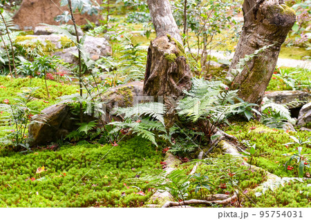 厭離庵_藤原定家の別荘"時雨亭"跡地【嵐山の紅葉名所】 95754031
