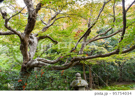 厭離庵_藤原定家の別荘"時雨亭"跡地【嵐山の紅葉名所】 95754034