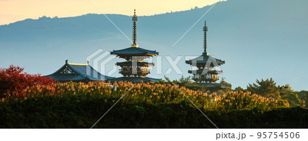 夜明けの西の京薬師寺 95754506