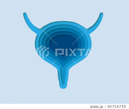 Bladder 3d symbol in paper cut style. Reproductive system, human transplantation design. Organ anatomy cut out of paper banner. Bladder 3d symbol in paper cut style. Reproductive system, human transplantation design. Organ anatomy cut out of paper banner. 95754739